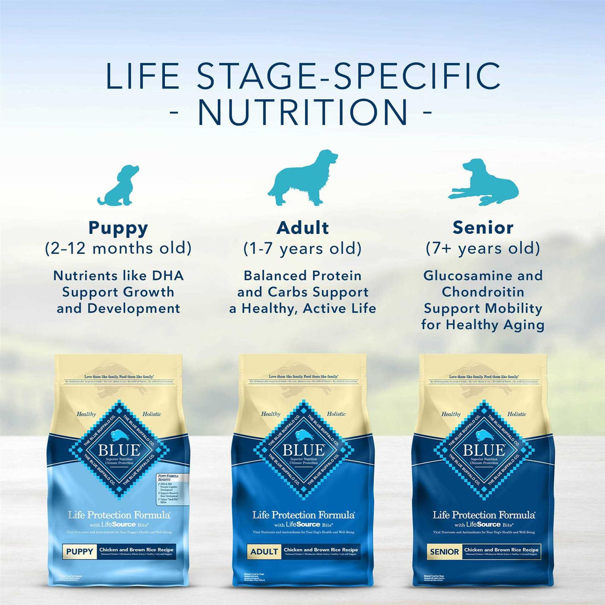 Dog Food Chicken and Brown Rice O309