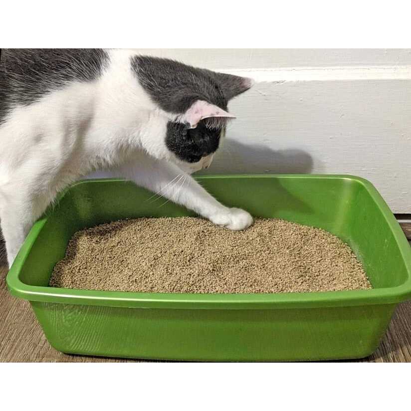 Clumping Cat Litter N8826