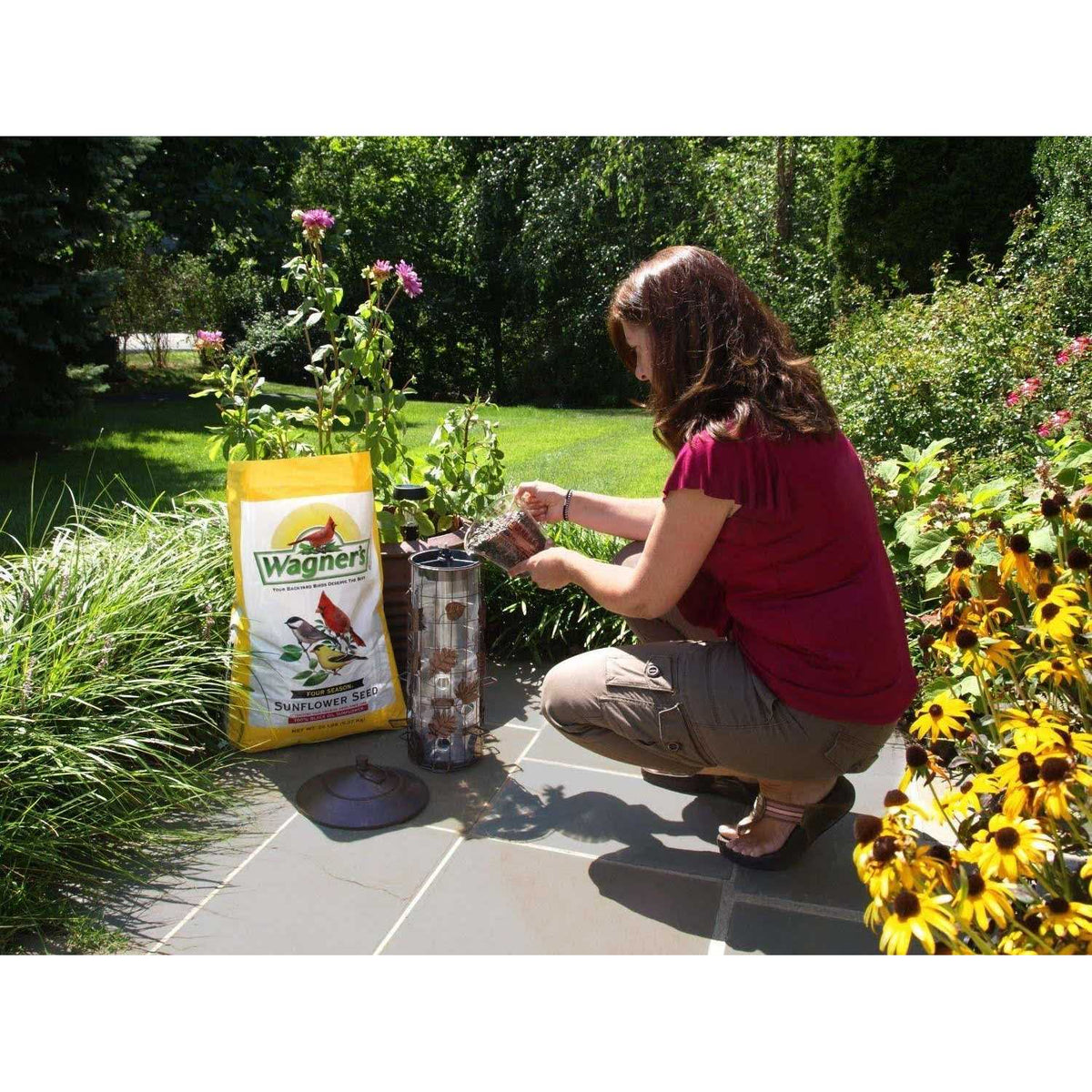 Black Oil Sunflower Seed D1293