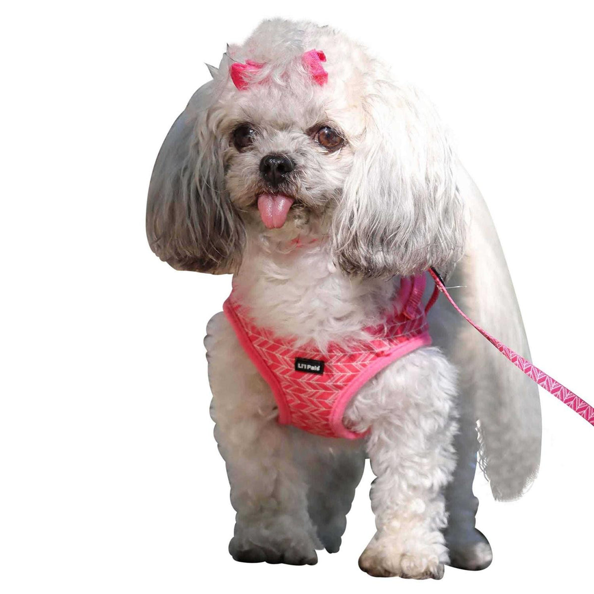 Canvas Dog Harness B48988