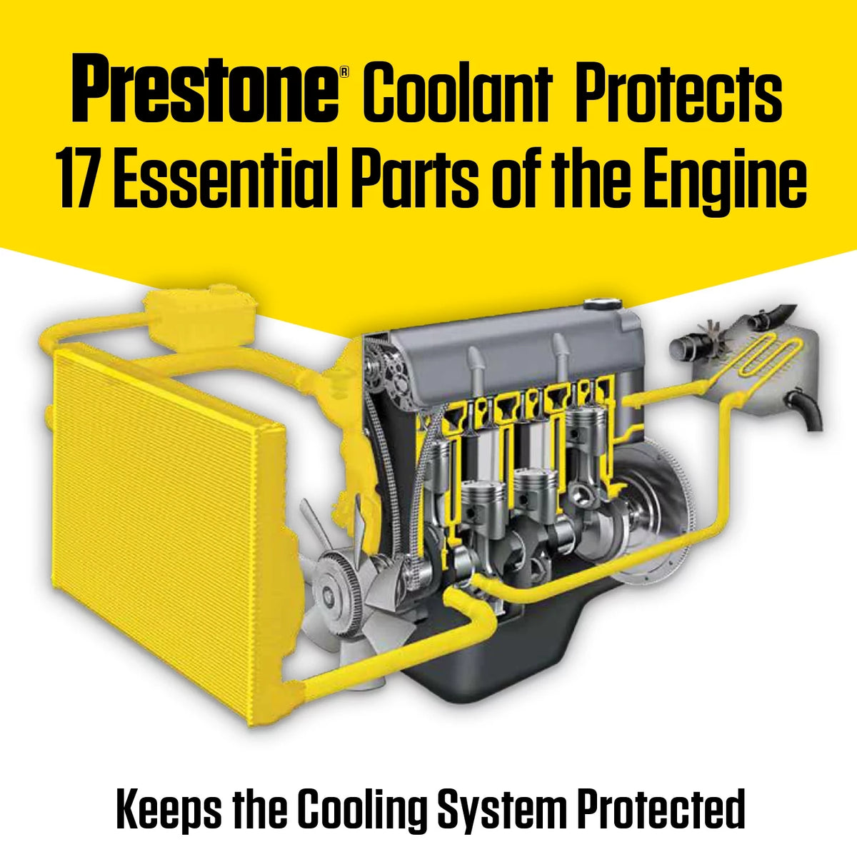 Antifreeze Coolant 1 Gal Concentrate D64272