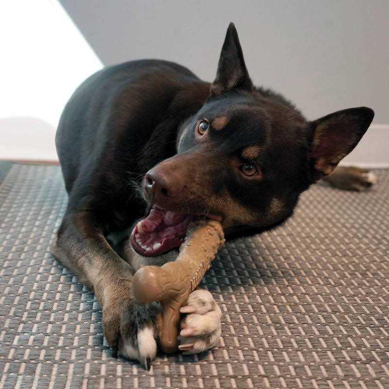 Dog Toy Z1091