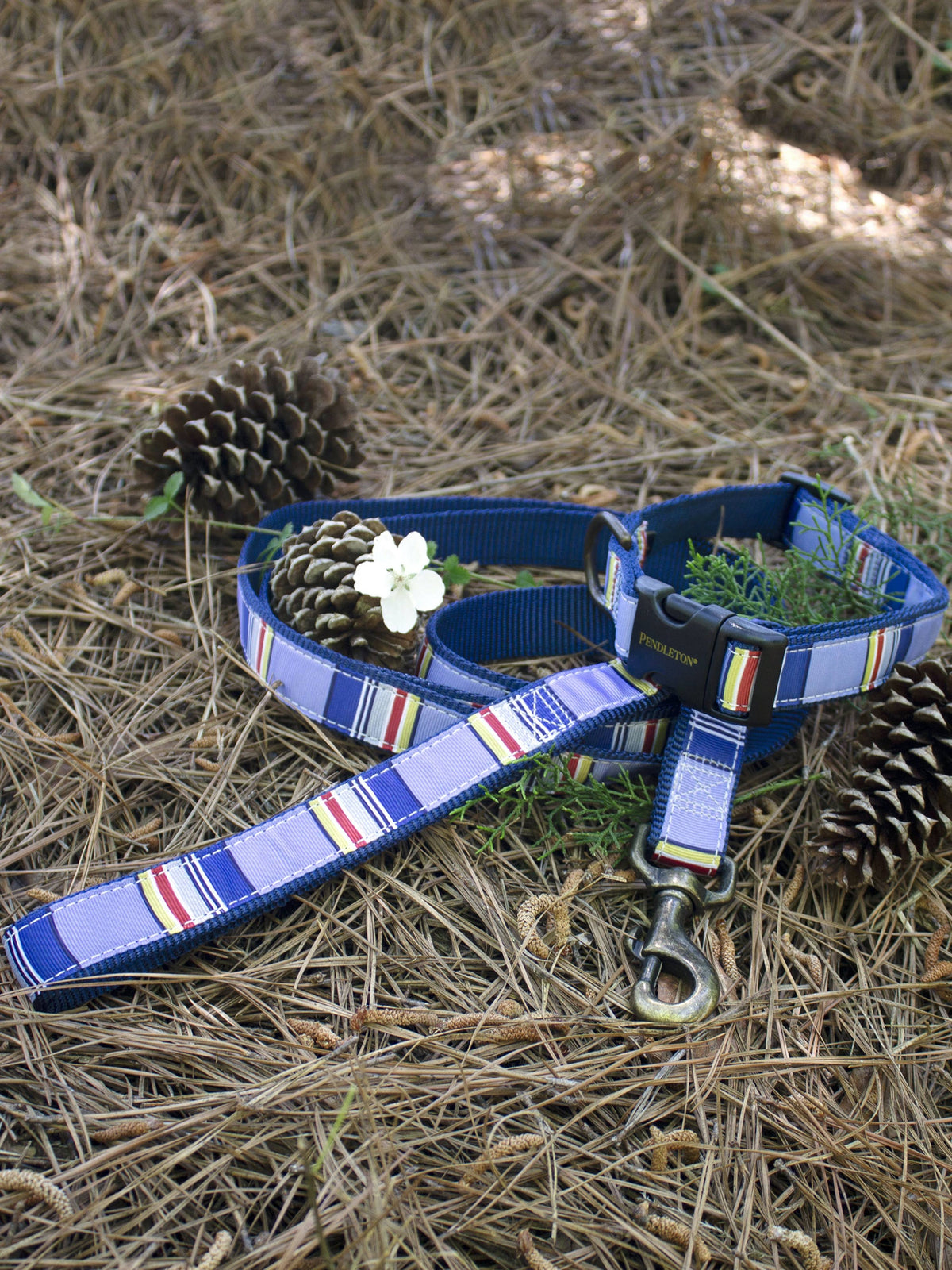 Hiker Leash E655