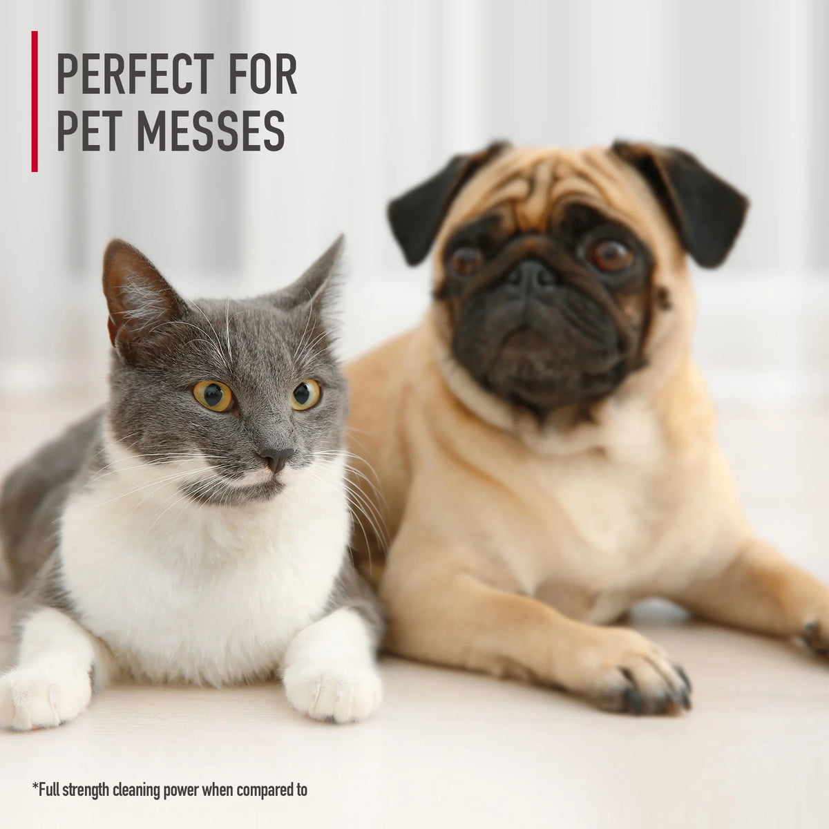 Portable Pet Stain Odor Remover, 32 fl oz E98935