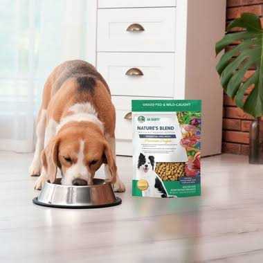 Freeze-Dried Dog Food U597056