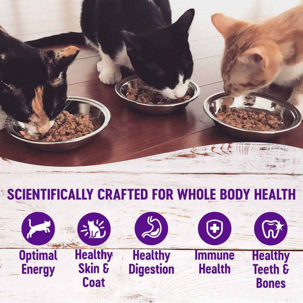 Natural Grain Free Cat Food Pouch A495