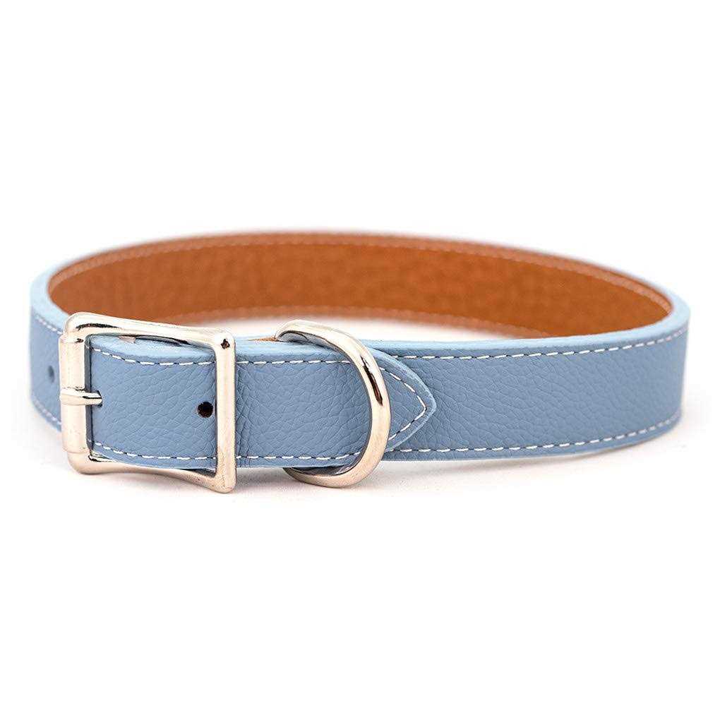 Leather Dog Collar Q464