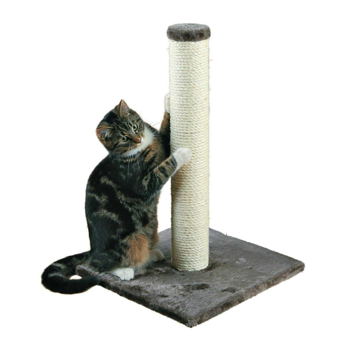 Scratching Post K61718