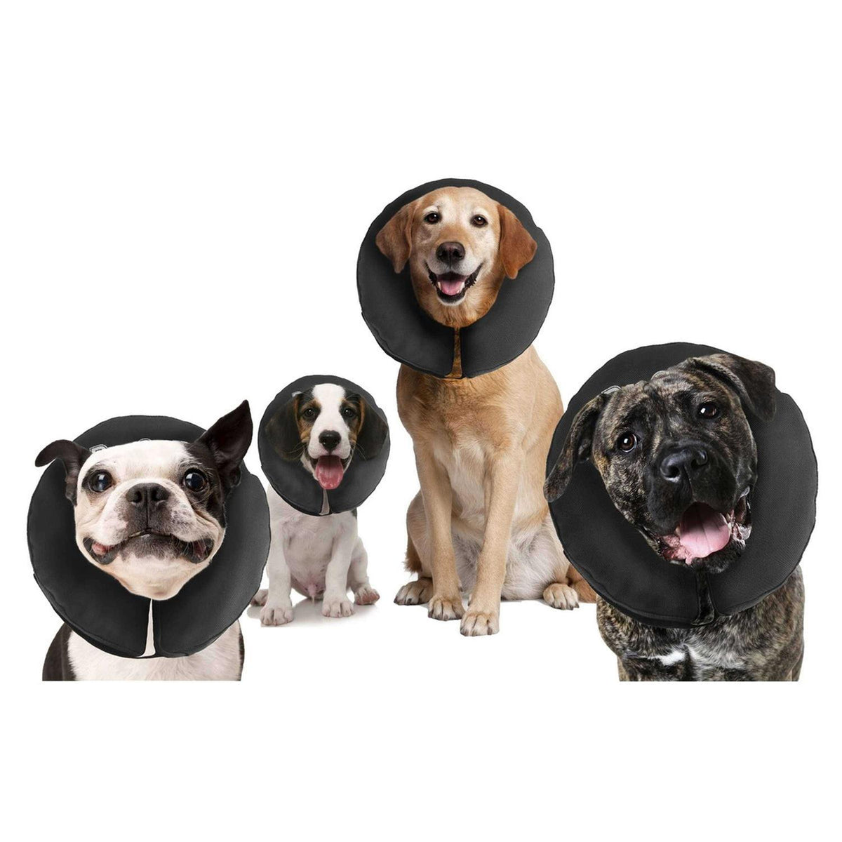 Inflatable Recovery Collar O2574
