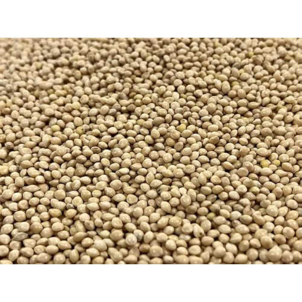 White Proso Millet Bird Seed 10lbs J971