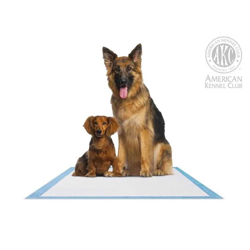 Training Pads W729946
