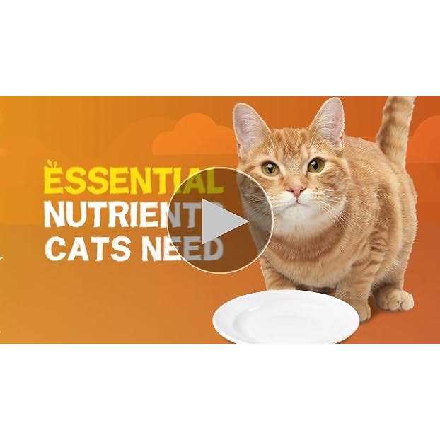 Wet Cat Food Gravy D7088