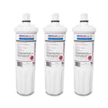 3 Pack Scale Inhibitor Cartridge I50906