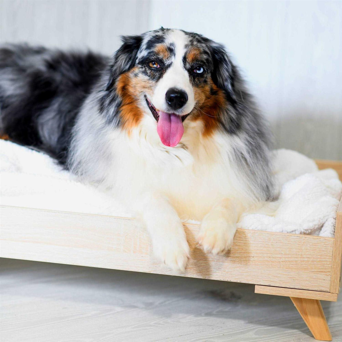 Raised Wooden Dog Bed Frame M66101