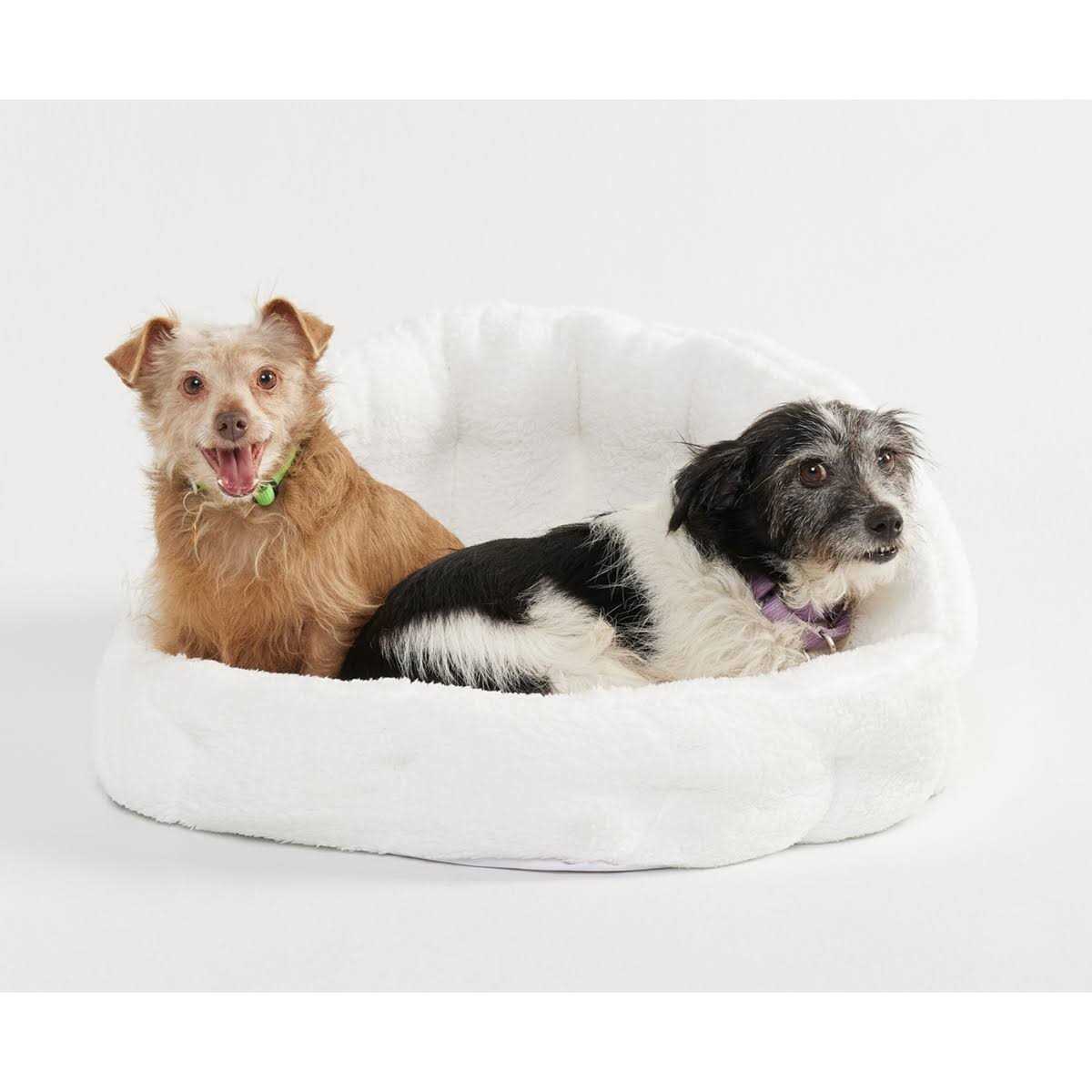 Bed Lounger S442662