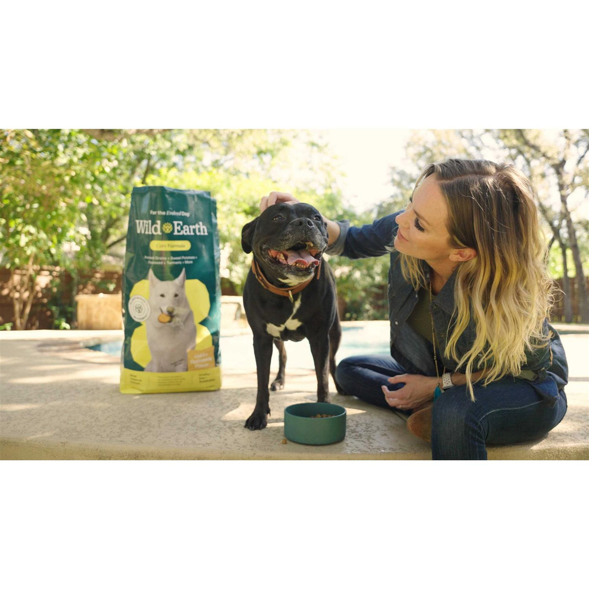 Classic Roast Flavor Dry Dog Food W4749