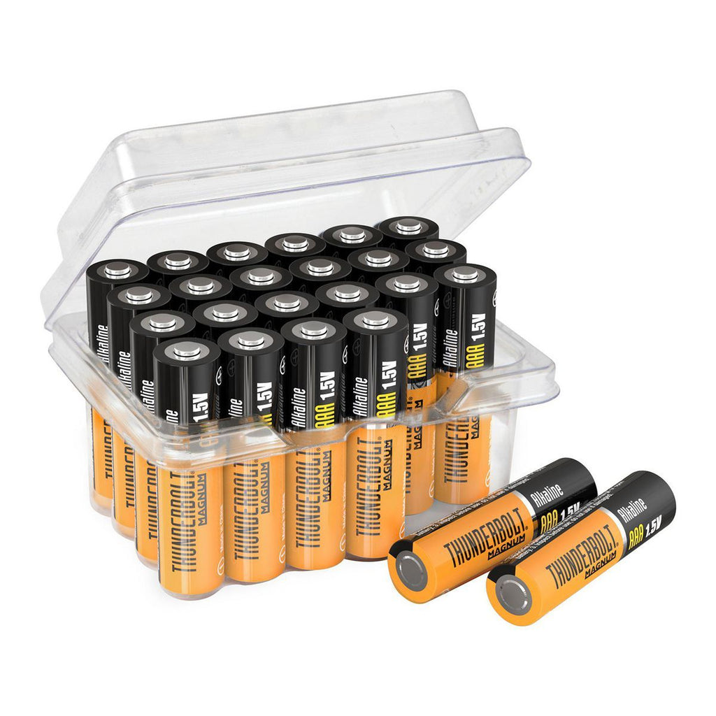 AAA Alkaline Batteries 24-Pack U34890