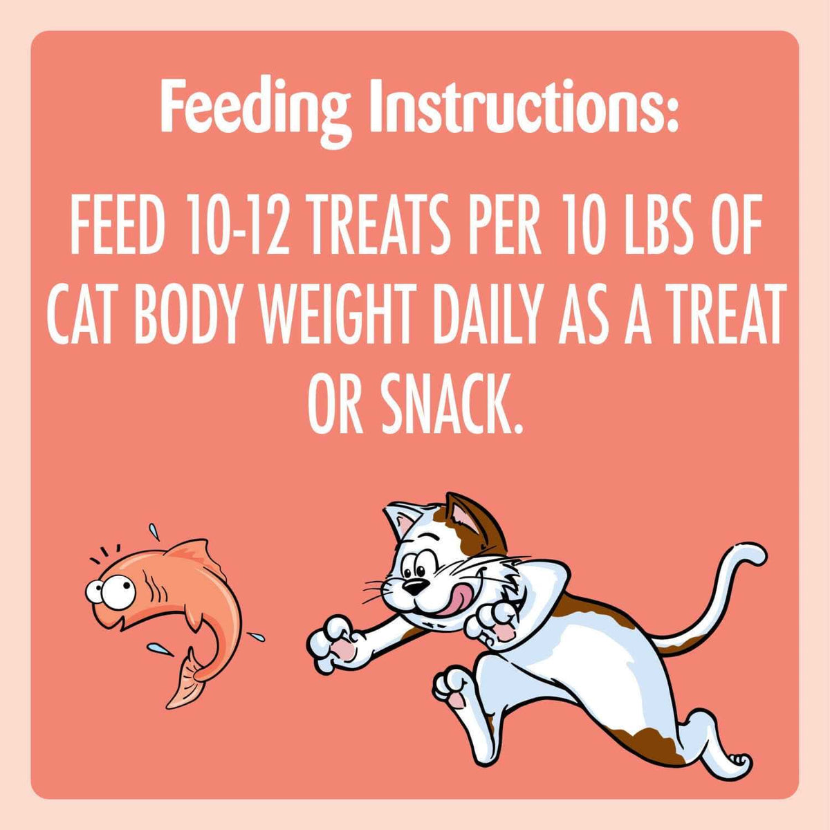 Cat Treats D800098