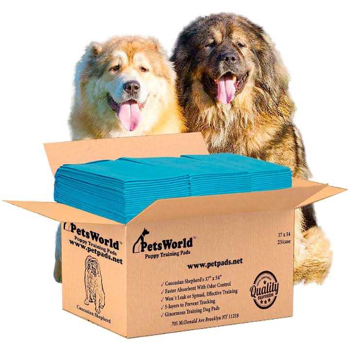 Pet Potty Pads Xxxl Tear Resistant J596184