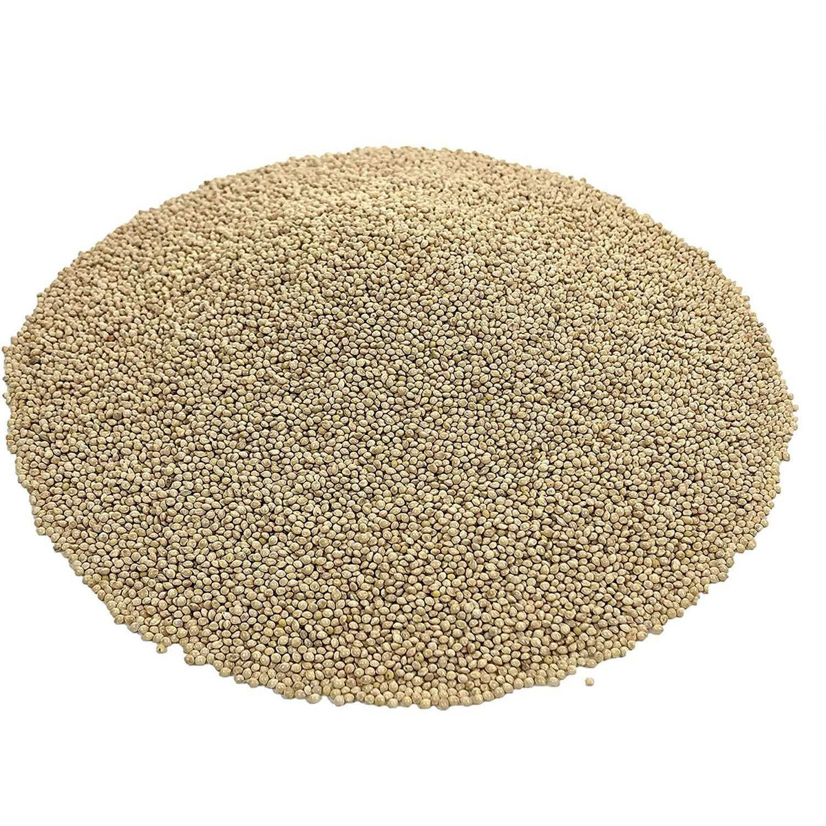 White Proso Millet Bird Seed 10lbs J971