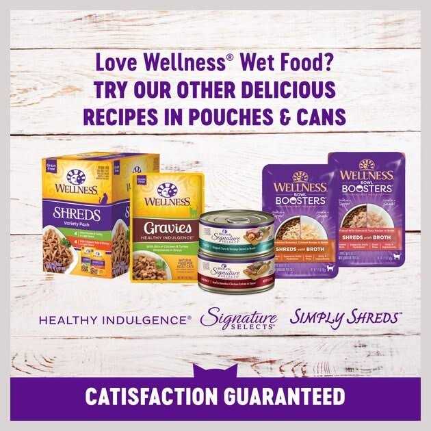 Natural Grain Free Cat Food Pouch A495