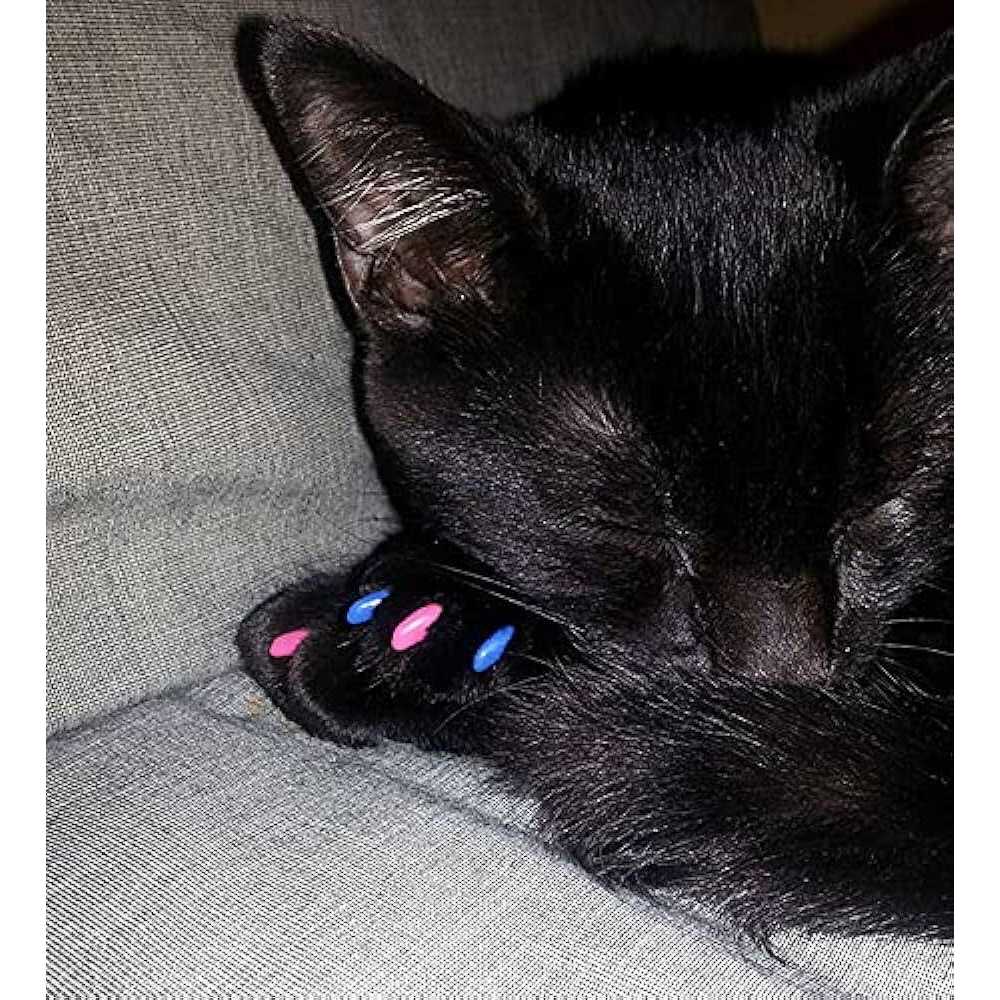 Soft Nail Caps for Cat Claws Y810