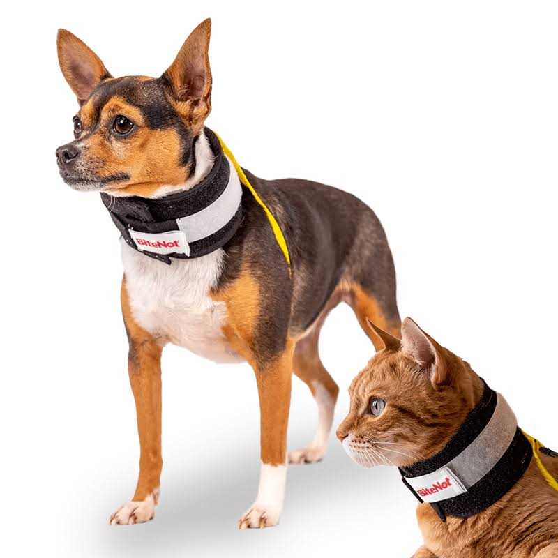 Collar O50995
