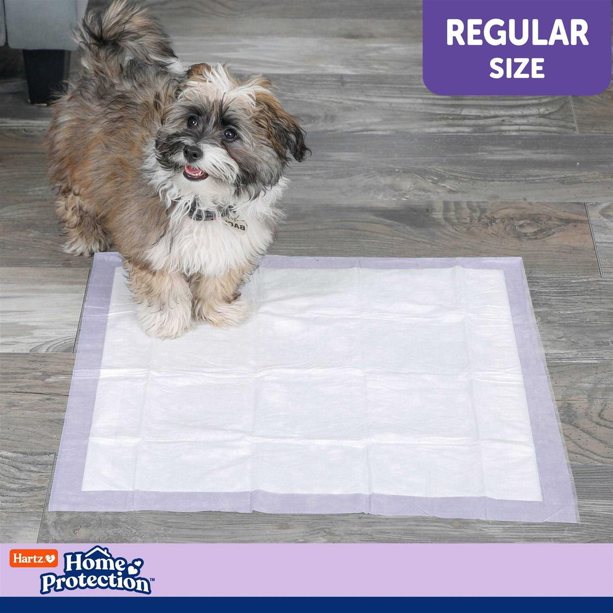 Lavender Scent Odor Eliminating Dog Pads U74151