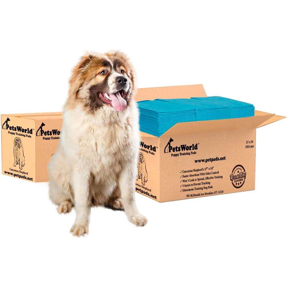 Pet Potty Pads Xxxl Tear Resistant J596184