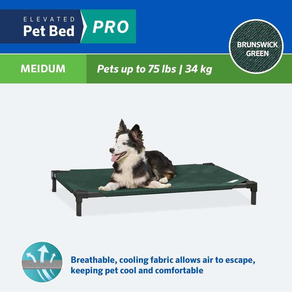 Elevated Pet Bed H580