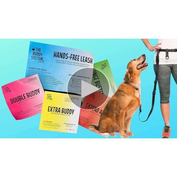 Adjustable Hands Free Dog Leash S976825