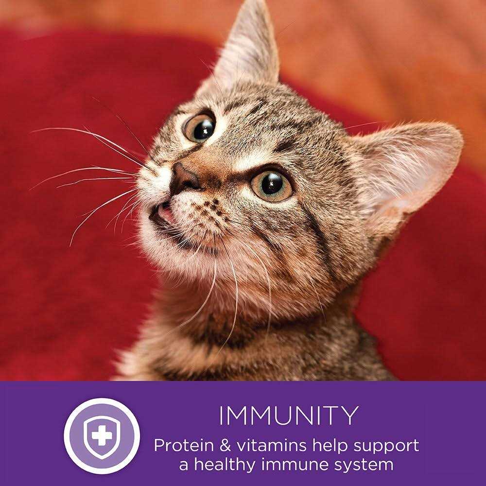 Natural Grain Free Cat Food Pouch A495