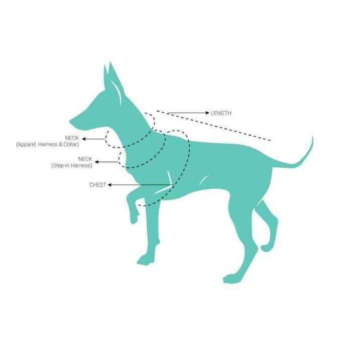 Step Harness C68266