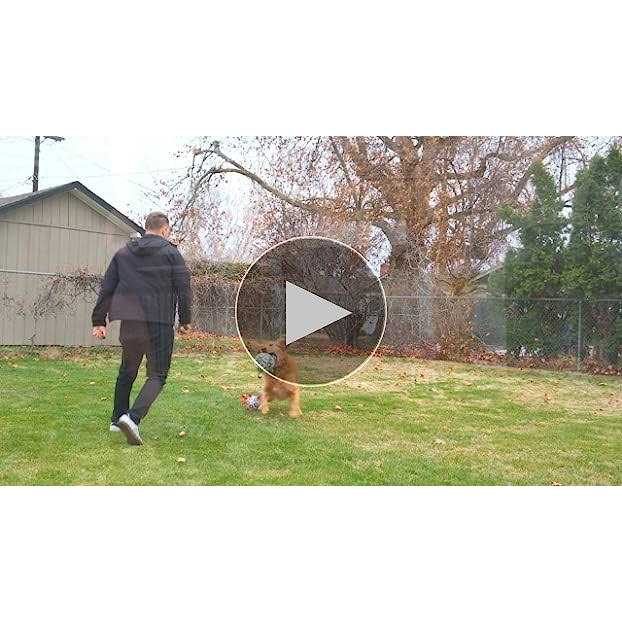 Dog Toys Soccer Ball with Straps A279