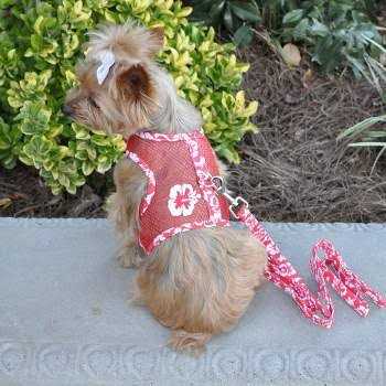 Cool Mesh Dog Harness with Leash F736180