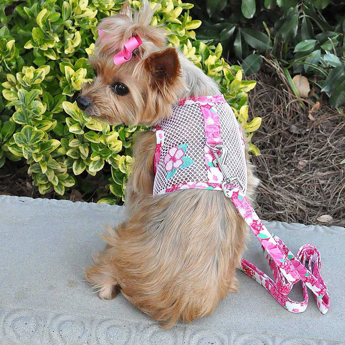 Cool Mesh Dog Harness with Leash F736180