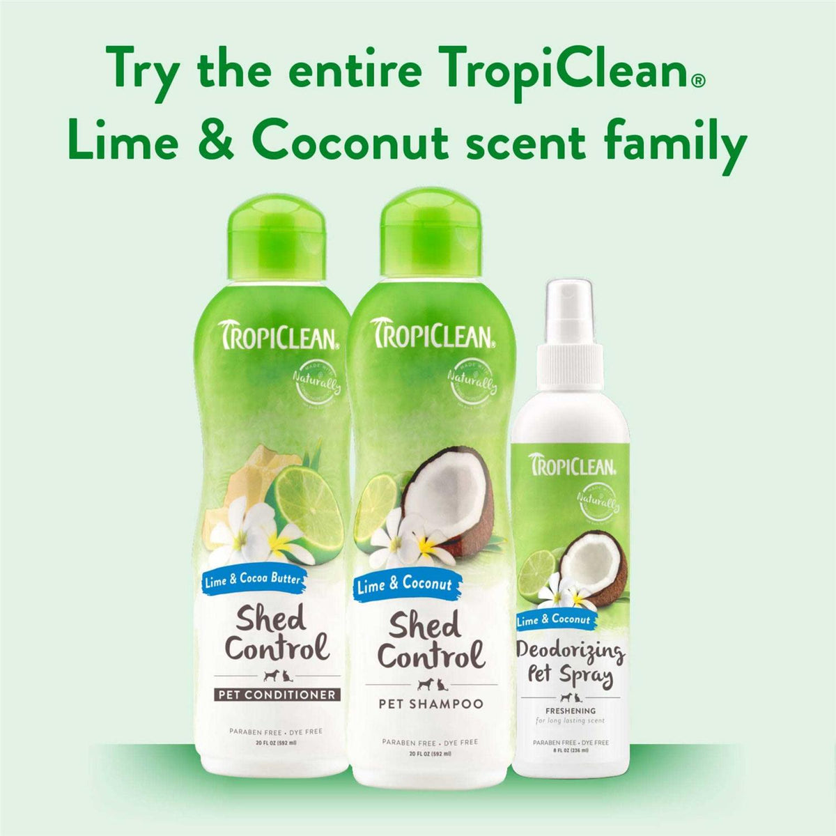 Lime & Coconut Shampoo T57292