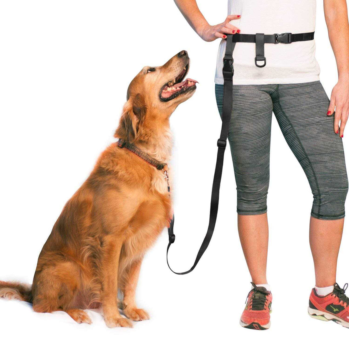 Adjustable Hands Free Dog Leash S976825