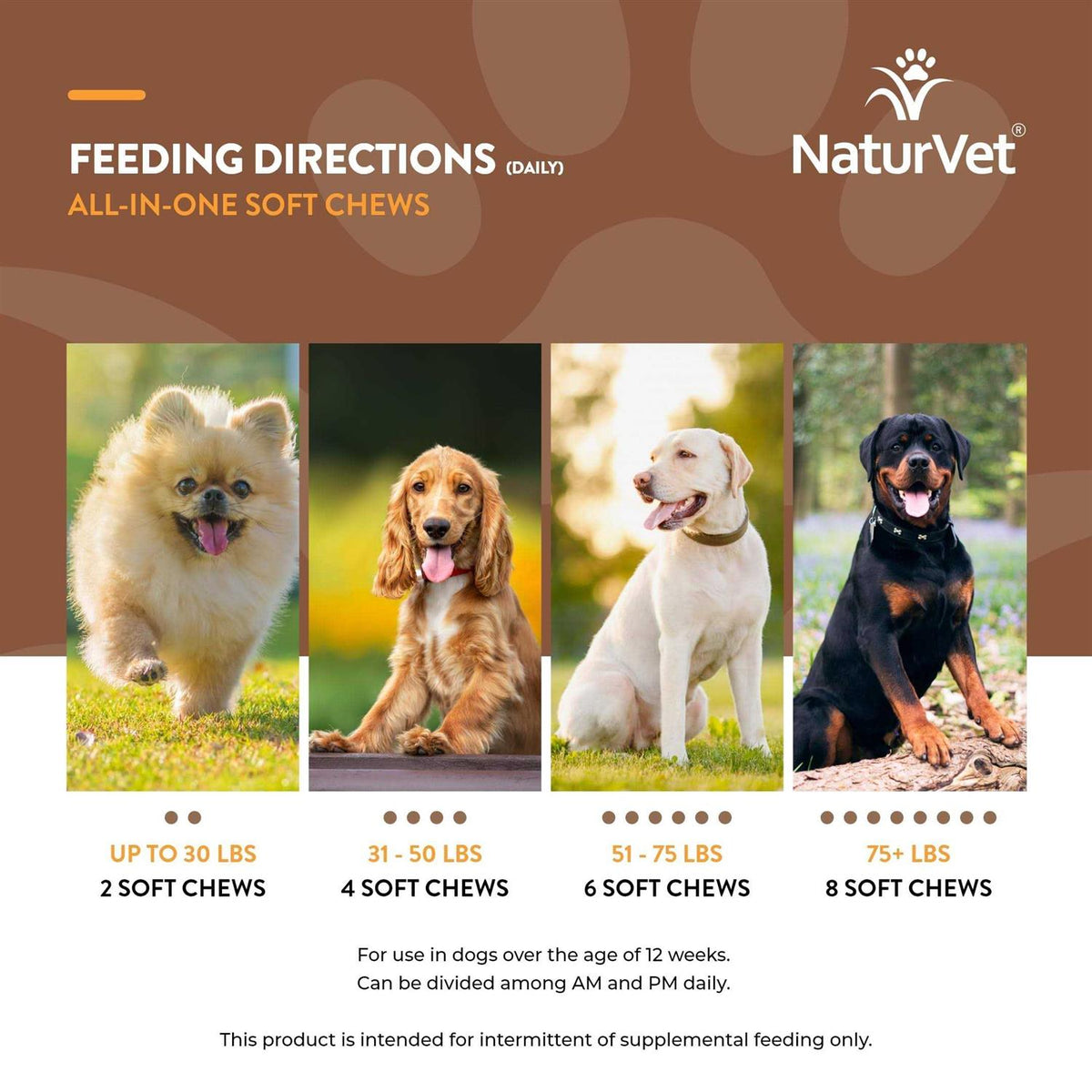 Dog Supplement Z33930
