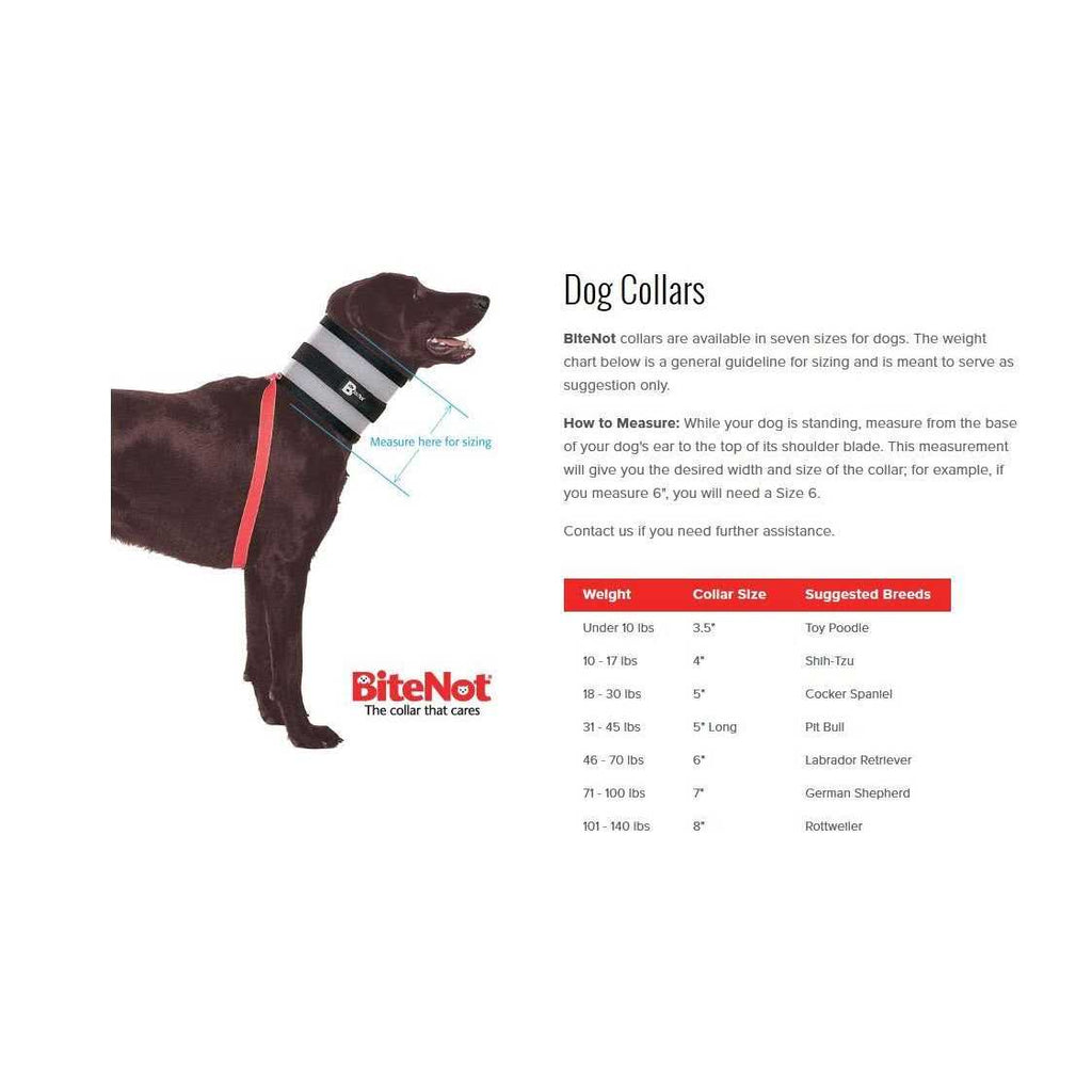 Collar O50995