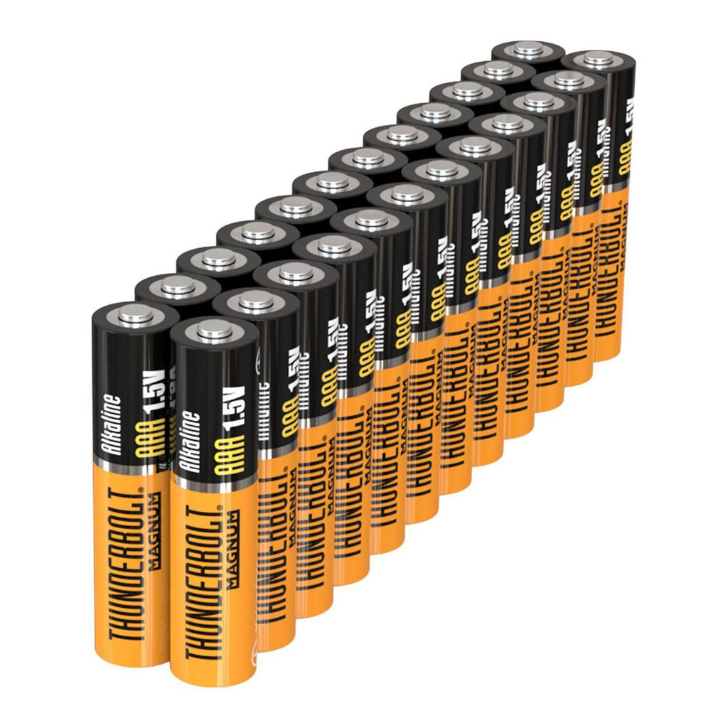 AAA Alkaline Batteries 24-Pack U34890