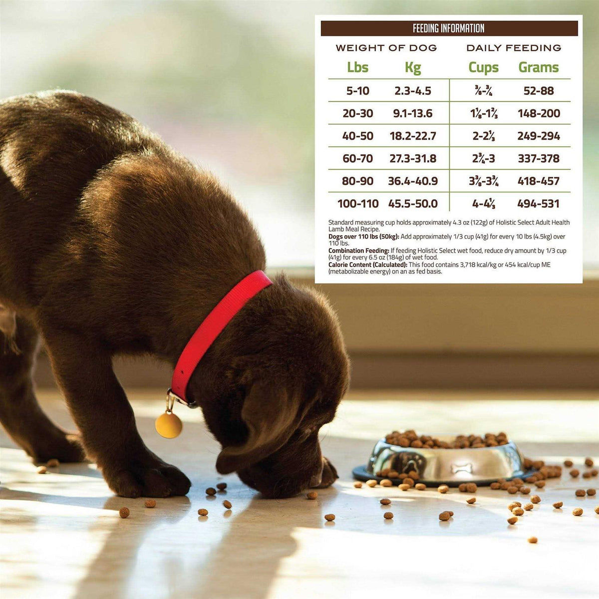 Adult Health Lamb Meal Recipe Dry Dog Food T41779
