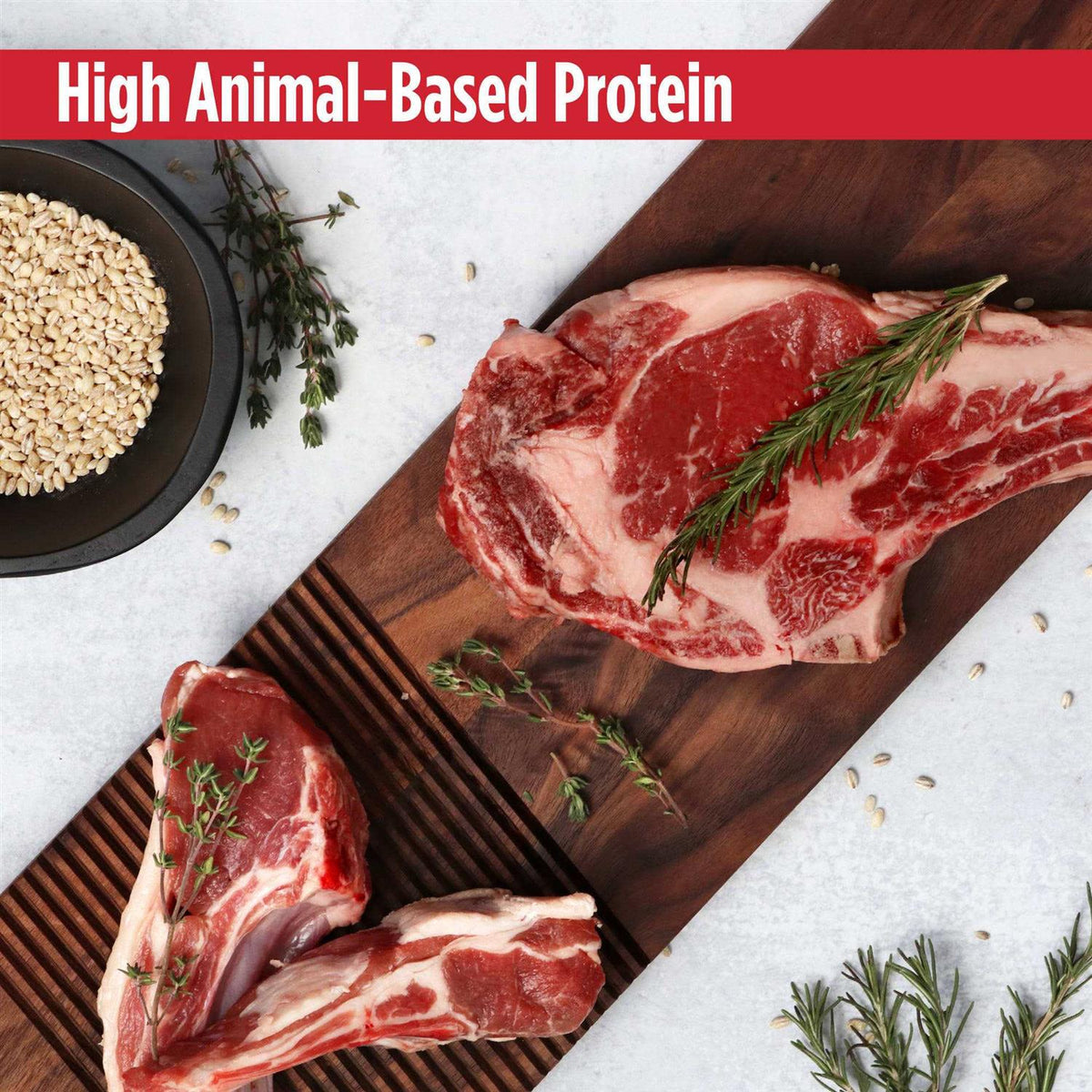 Dry Dog Food G45270