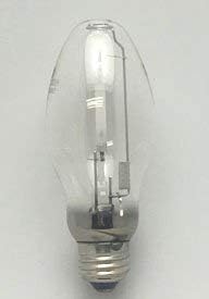 100w Replacement Light Bulb W219