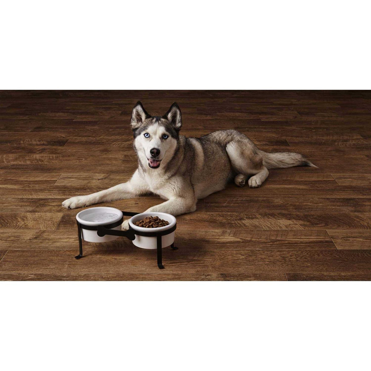 Iron Double Diner with Ceramic Dog Bowls W635077