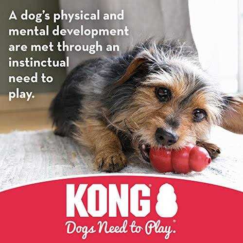 Dog Toy V9470