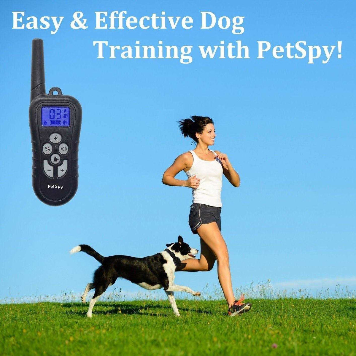 Remote Dog Training Collar S654680