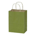 Rain Forest Green Paper Shopping Bags Case of 100 G83933