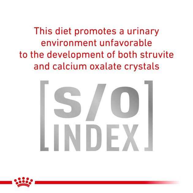 Veterinary Diet Cat Food Q8716