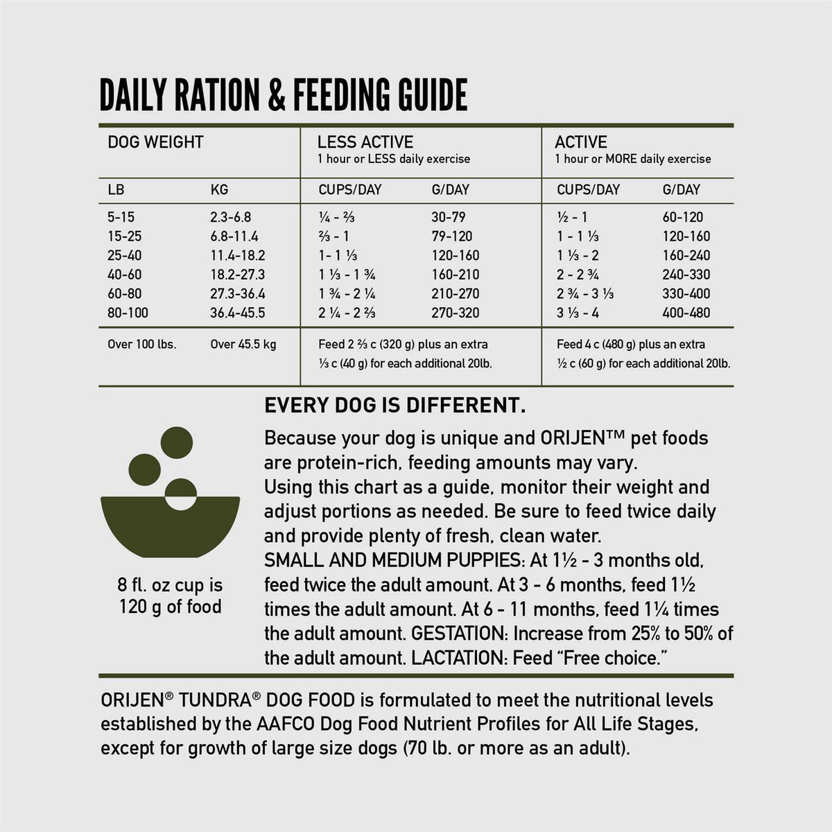 Dry Dog Food Z49222